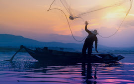 Booming Seafood Market – India’s Outlook